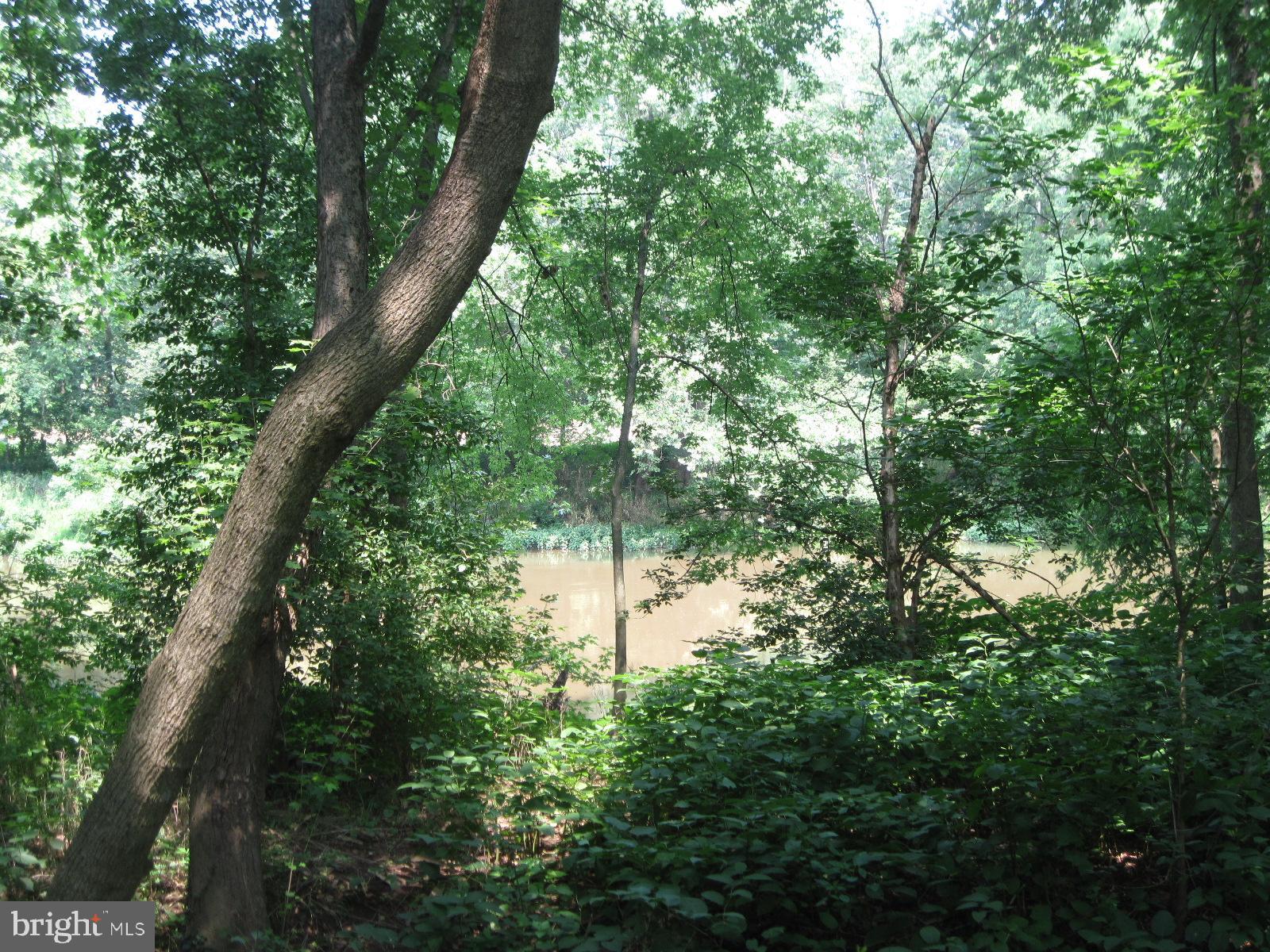 1130 Bowers Bridge Road Manchester, PA 17345 - Photo 61 of 71 view of Conowago Creek