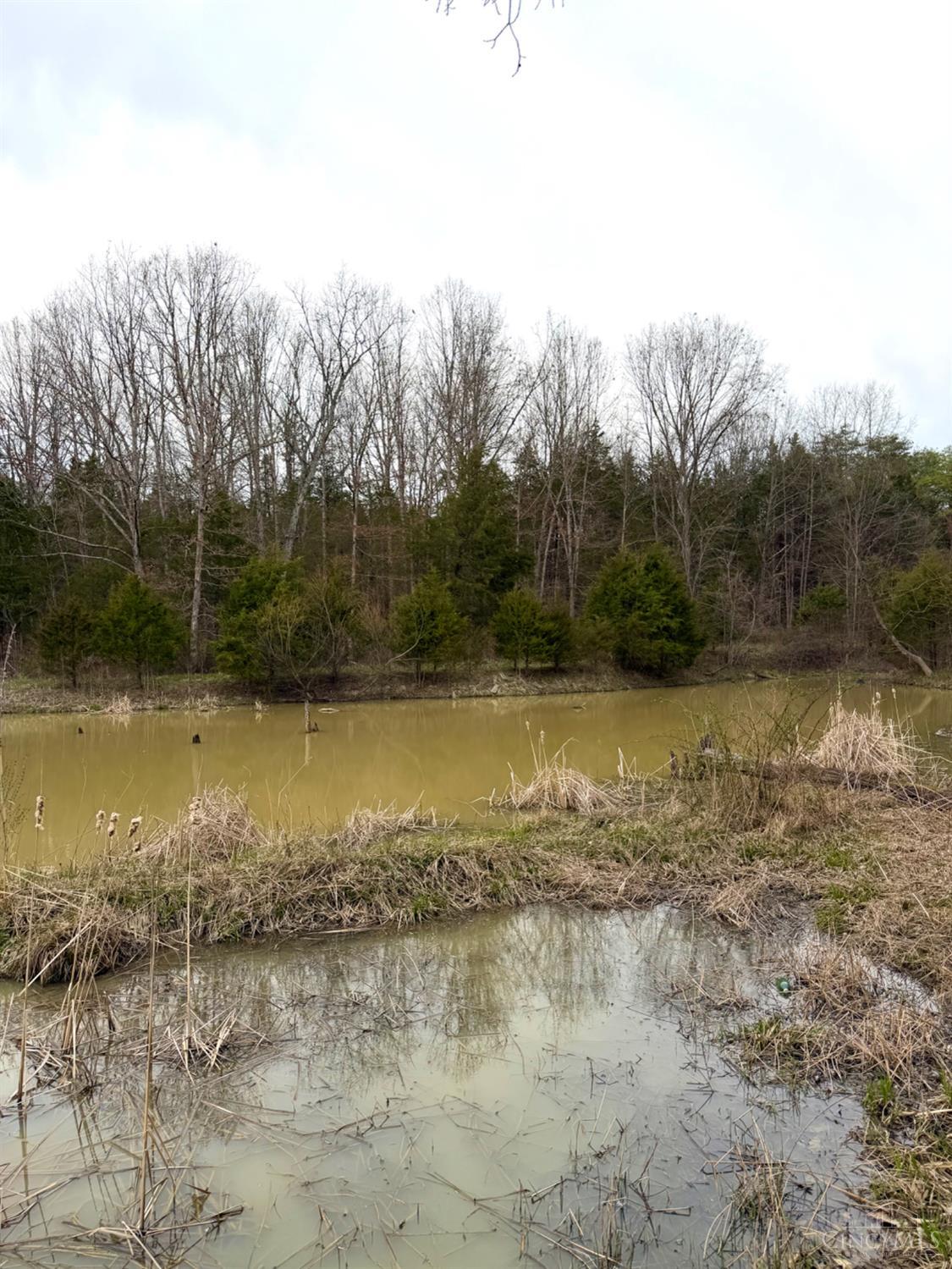1600 Magee Jones Road Peebles, OH 45660 - Photo 81 of 91