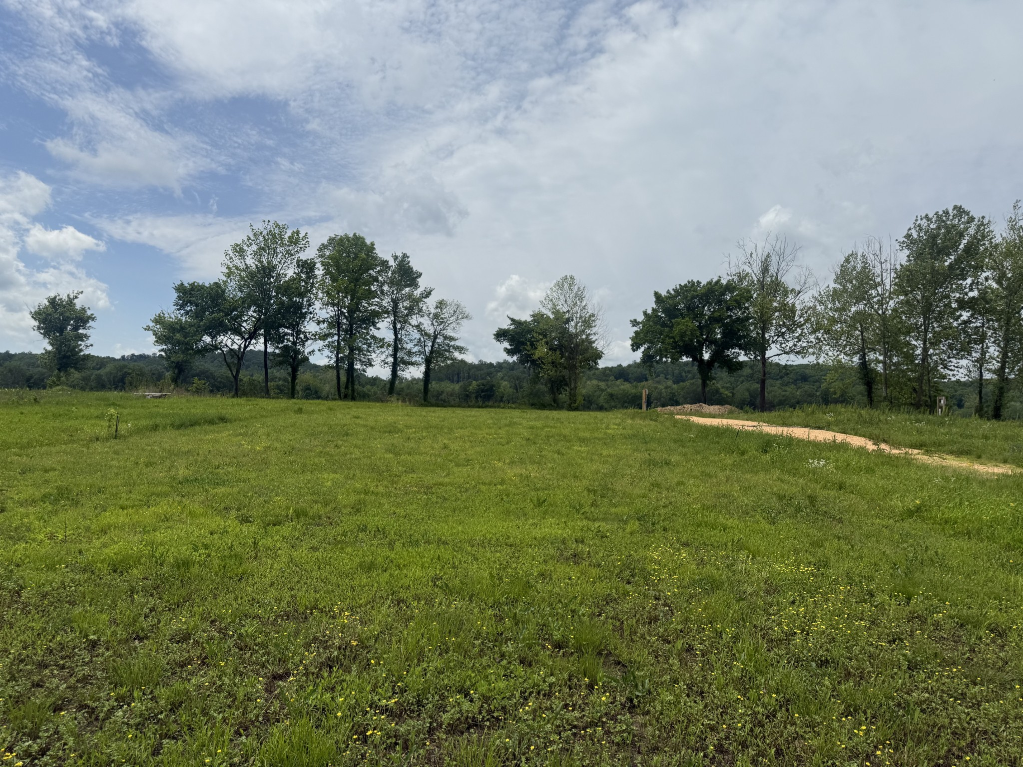 167 Hardin Bottom River Road Clifton, TN 38425 - Photo 14 of 26