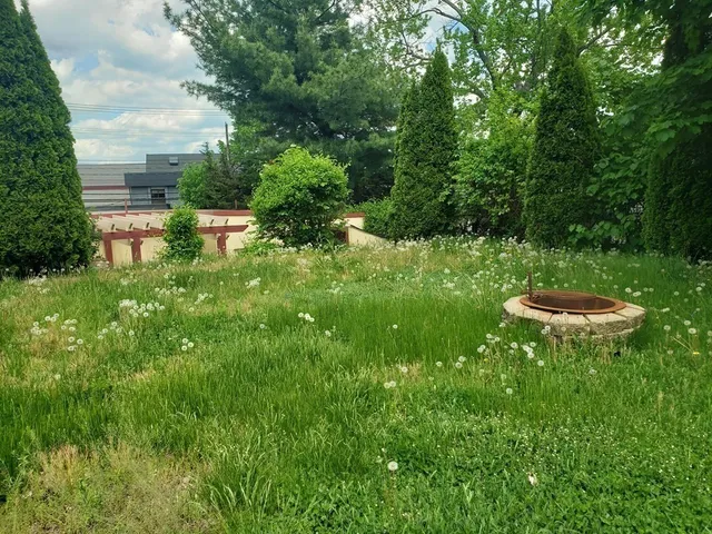 a view of outdoor space and yard