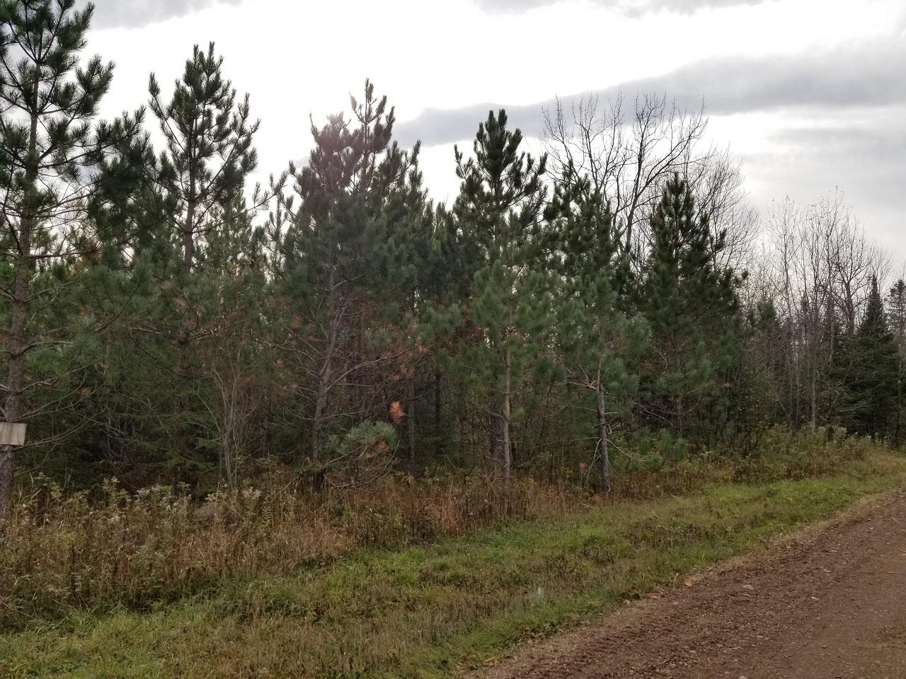 40-ac Riverside Road Hurley, WI 54534 - Photo 2 of 3 Gallery Image 2