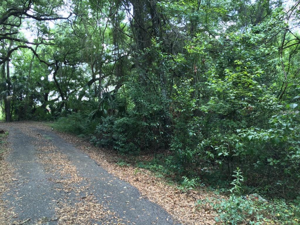 1174 North Scenic View Point Inverness, FL 34453 - Photo 1 of 1 Gallery Image 1