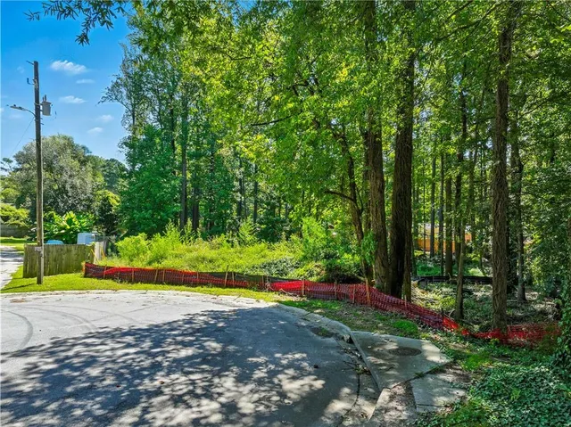 a view of a yard with plants and large trees