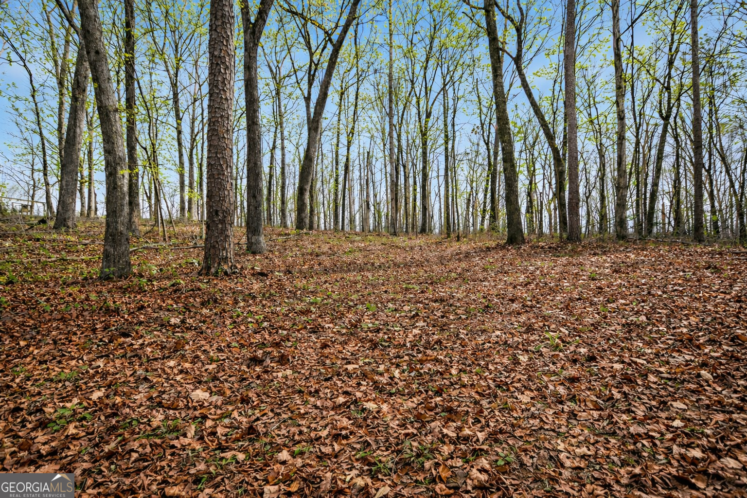 2335 Stonepile Road, Unit LOT 2 Clarkesville, GA 30523 - Photo 14 of 27