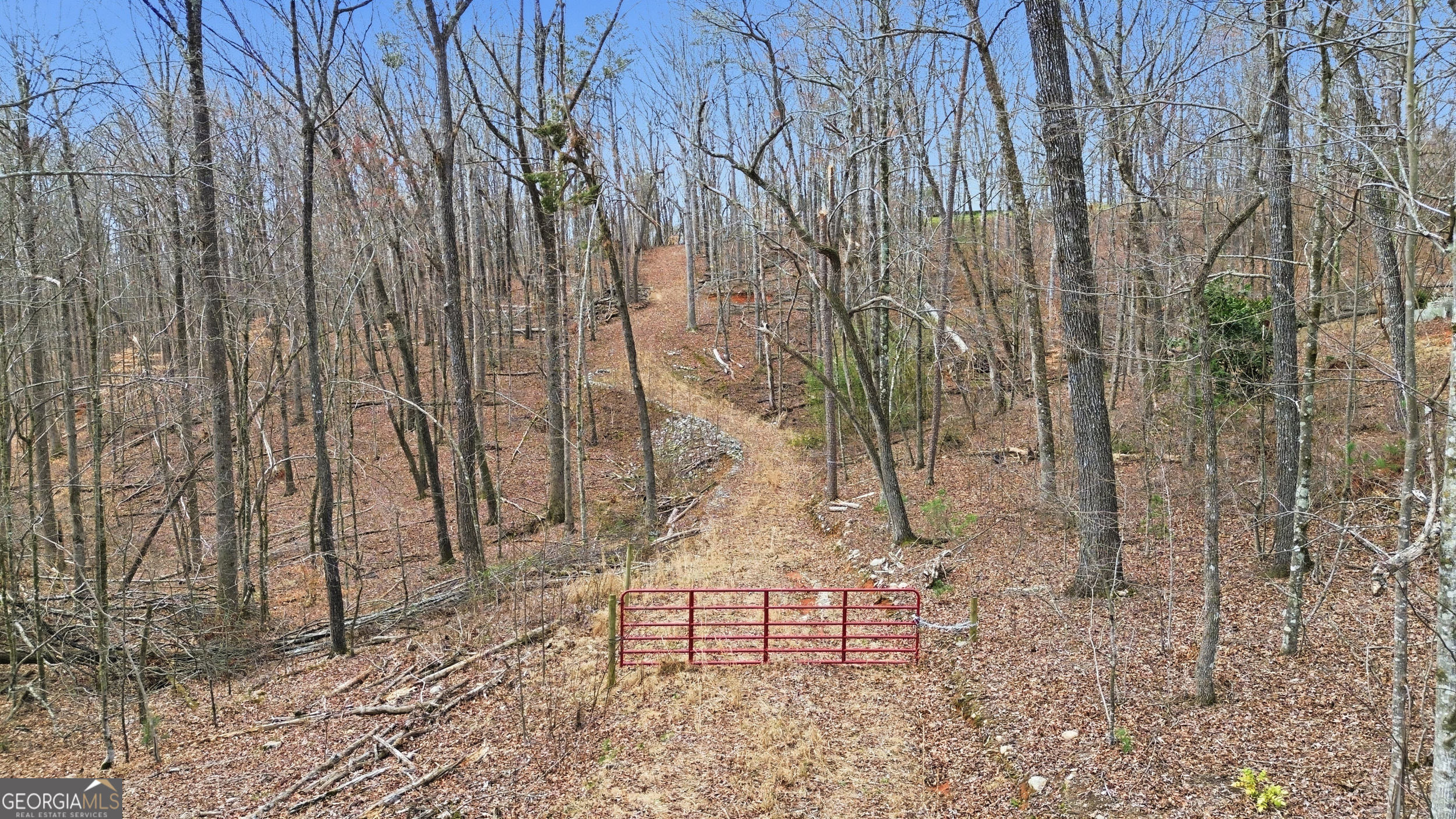 2335 Stonepile Road, Unit LOT 2 Clarkesville, GA 30523 - Photo 21 of 27