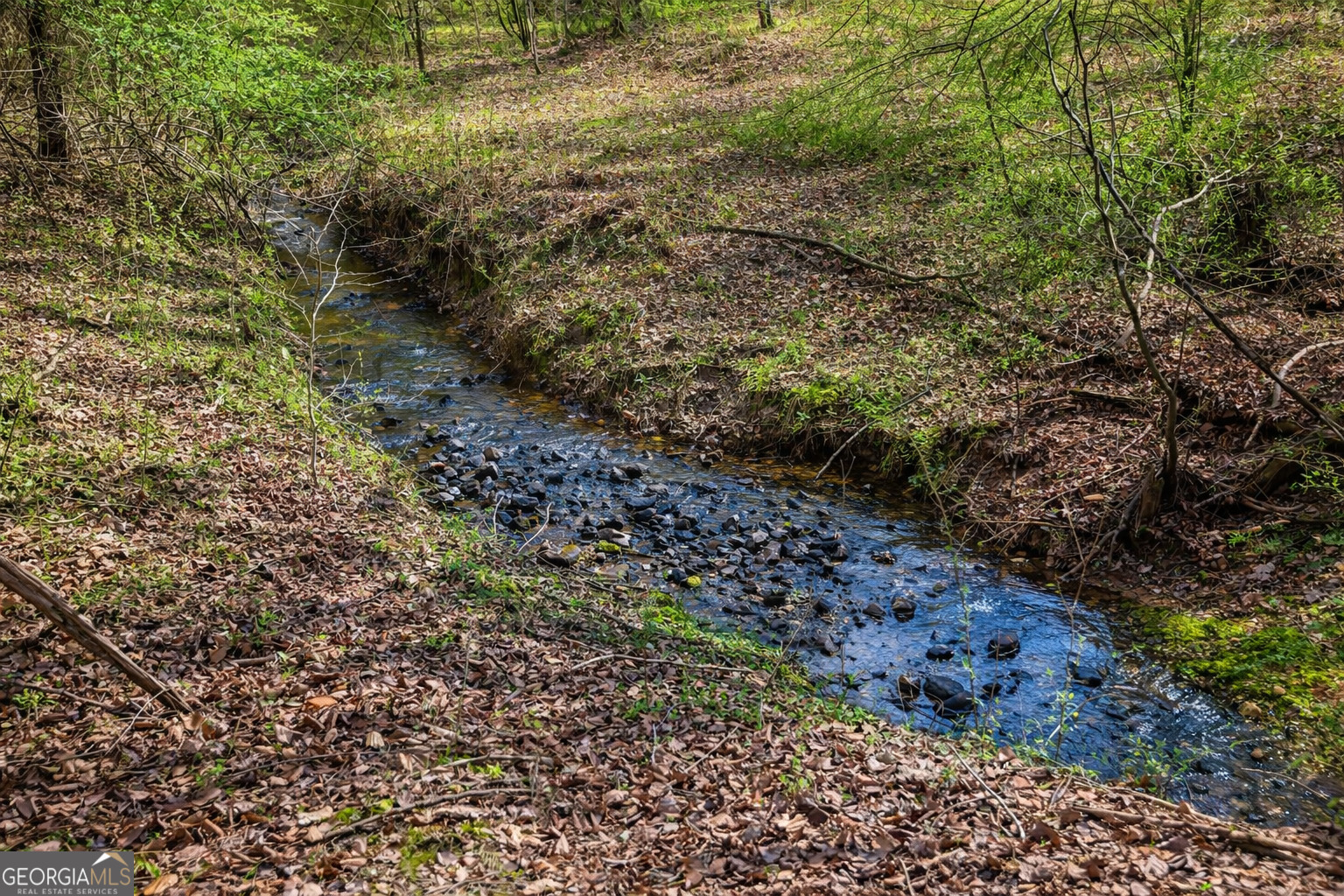 2335 Stonepile Road, Unit LOT 2 Clarkesville, GA 30523 - Photo 5 of 27