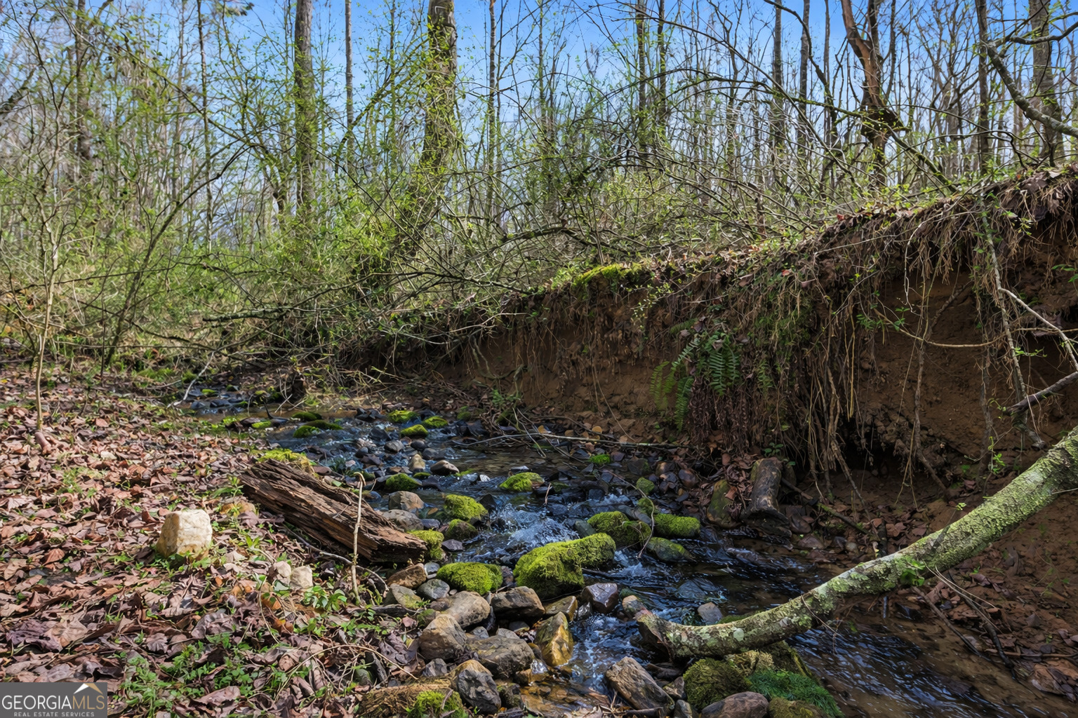2335 Stonepile Road, Unit LOT 2 Clarkesville, GA 30523 - Photo 7 of 27