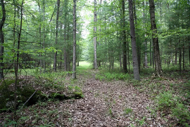 a view of outdoor space and green space