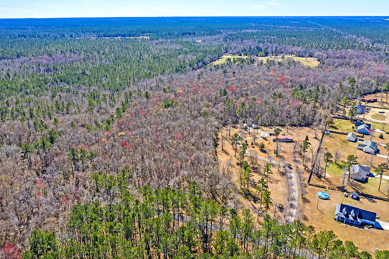 1035 Spring Grove Road Bonneau, SC 29431 - Photo 8 of 40 DJI_0085