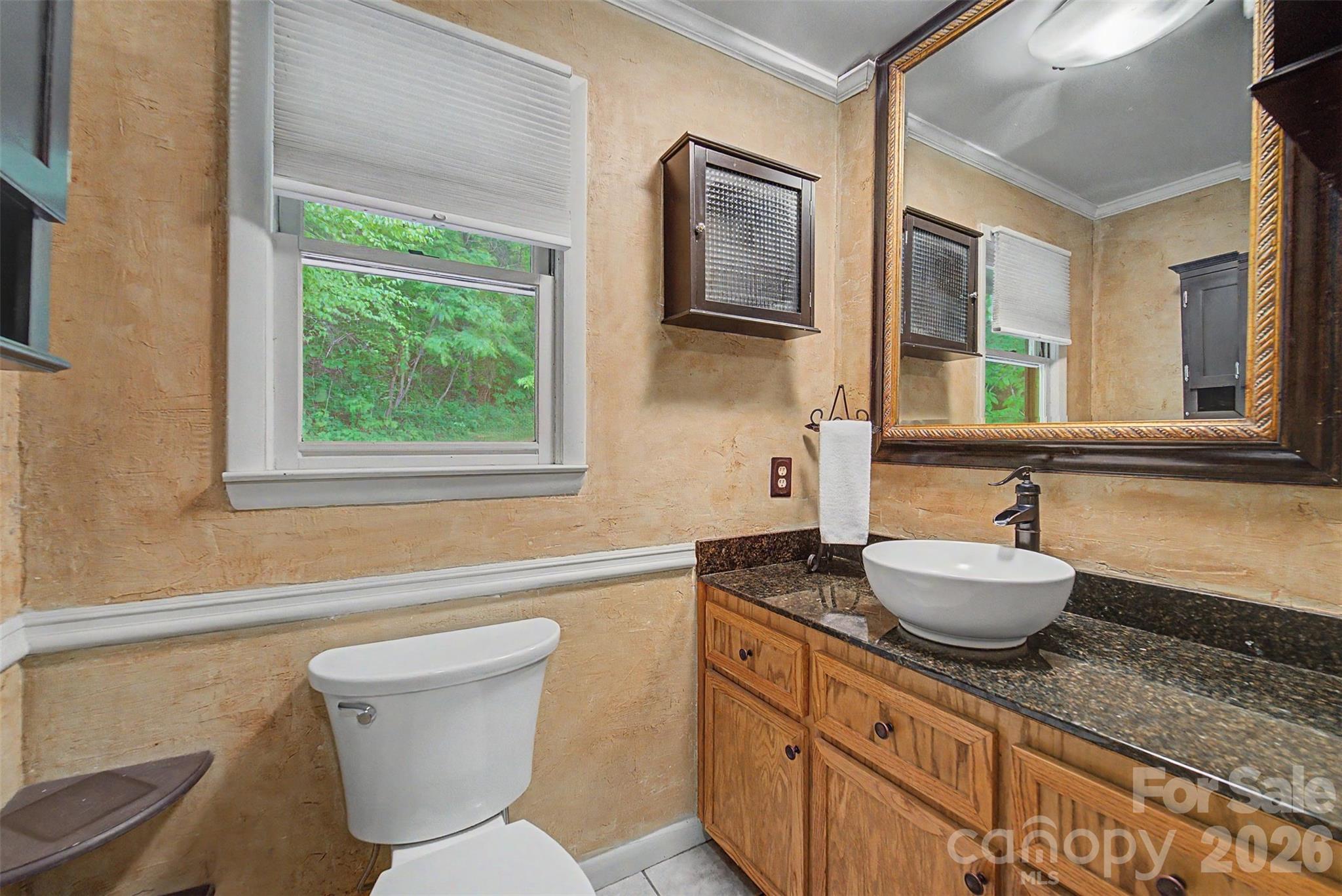 1413 Kitchens Branch Road Sylva, NC 28779 - Photo 19 of 46 a bathroom with a granite countertop toilet sink and mirror