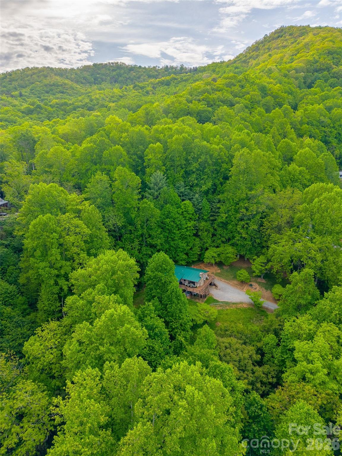 1413 Kitchens Branch Road Sylva, NC 28779 - Photo 46 of 46 a view of a lush green space