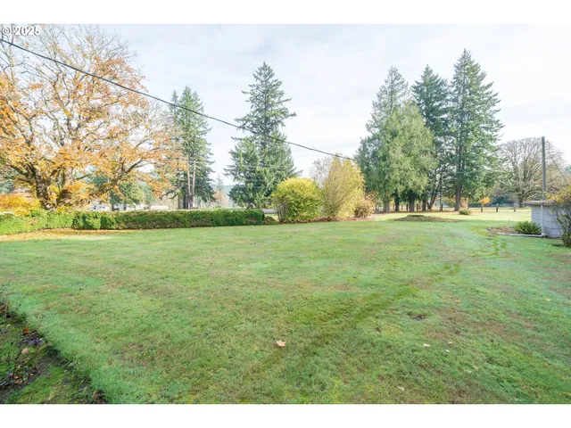 a view of yard with trees