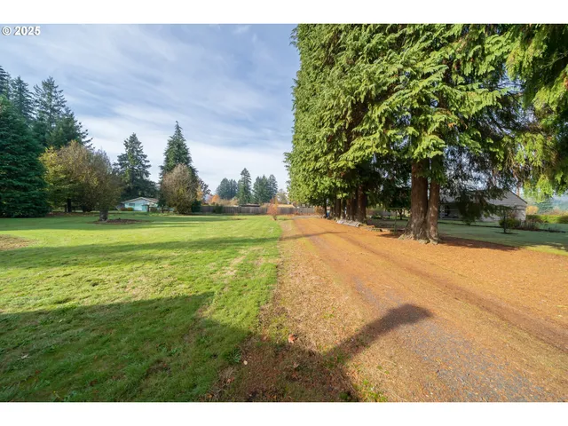 a view of a field with a tree