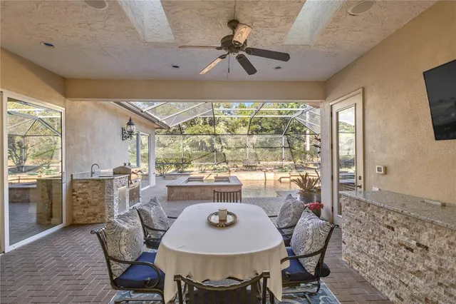 a view of a garden with plants