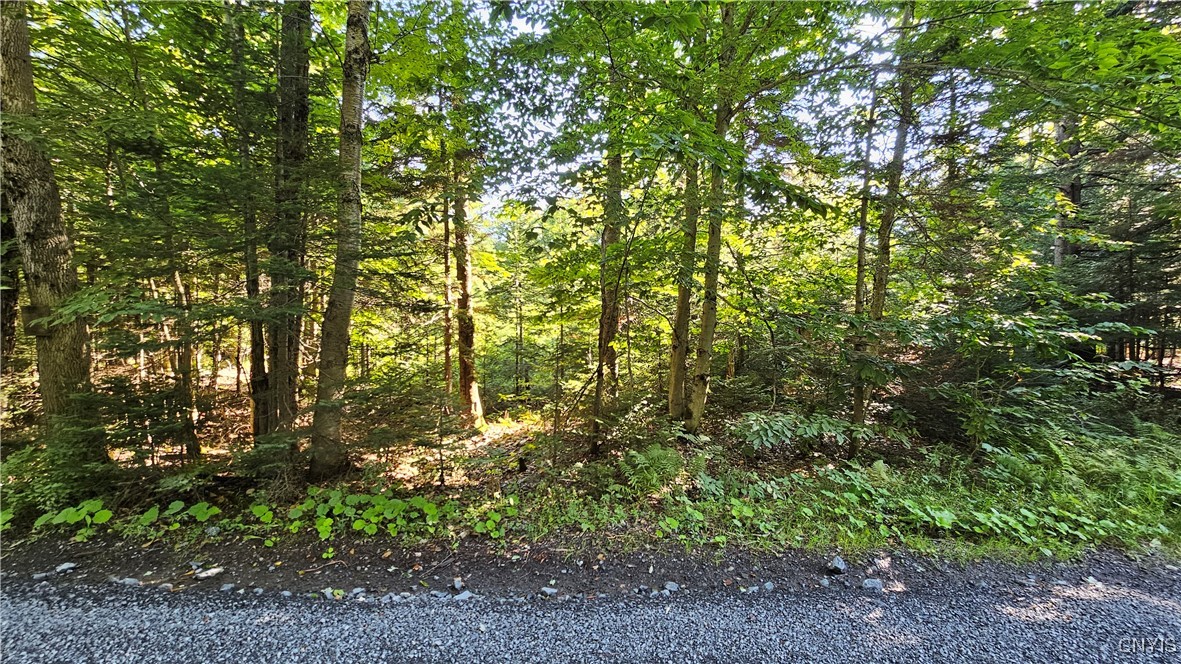 0 Rowsam Road Lowville, NY 13367 - Photo 2 of 9