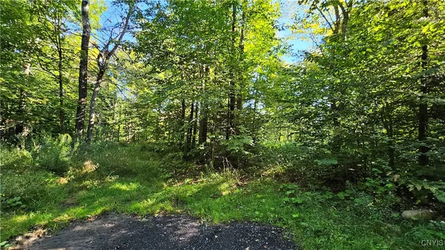 $425,000 | 0 Rowsam Road, Lowville, NY 13367