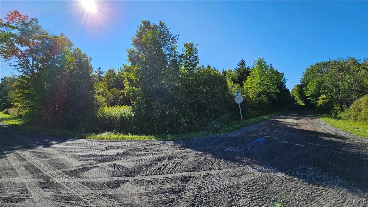 0 Rowsam Road Lowville, NY 13367 - Photo 4 of 9