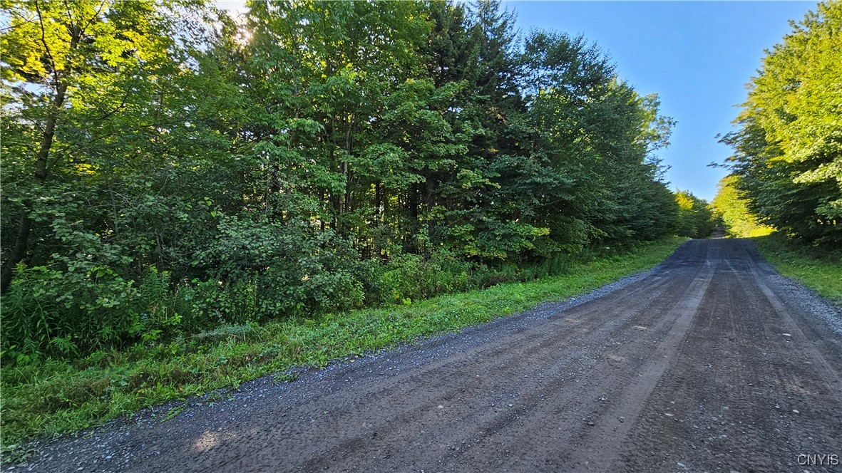 0 Rowsam Road Lowville, NY 13367 - Photo 5 of 9