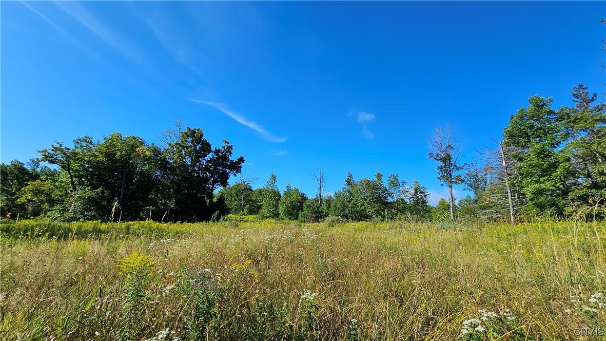 0 Rowsam Road Lowville, NY 13367 - Photo 8 of 9