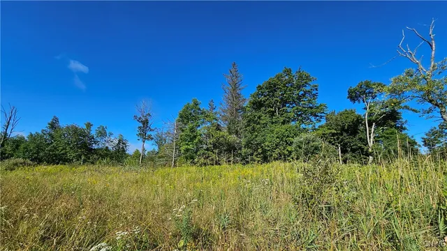 $425,000 | 0 Rowsam Road, Lowville, NY 13367
