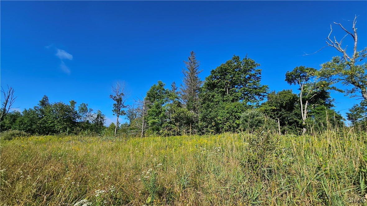 0 Rowsam Road Lowville, NY 13367 - Photo 9 of 9