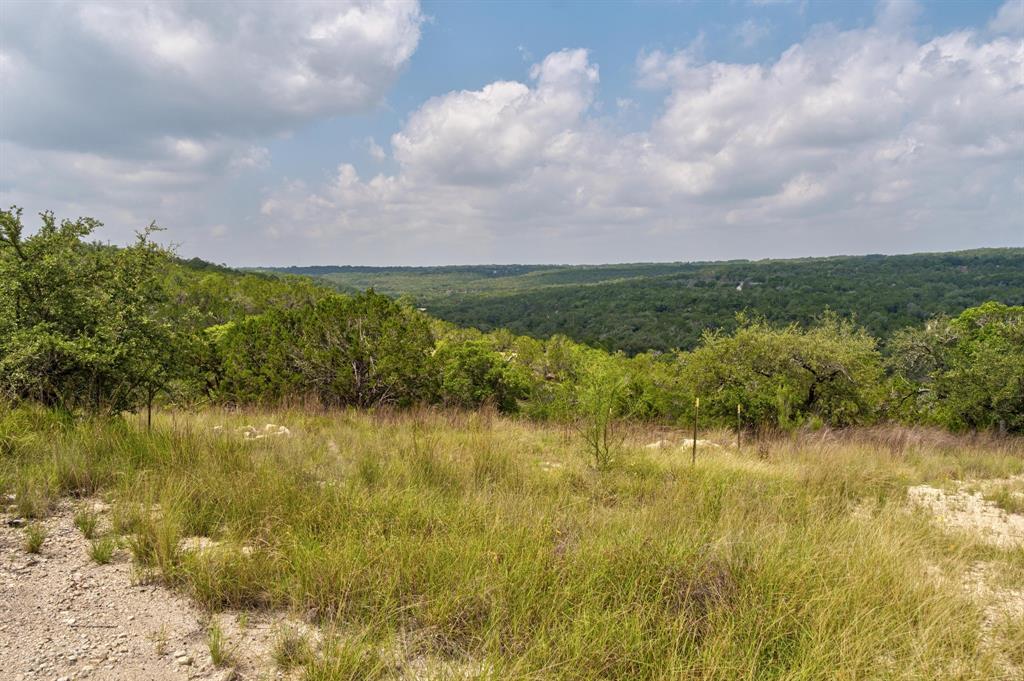 121 Spring Cove Dripping Springs, TX 78620 - Photo 33 of 40