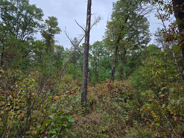 $149,900 | 1228 15th Avenue, Arkdale, WI 54613