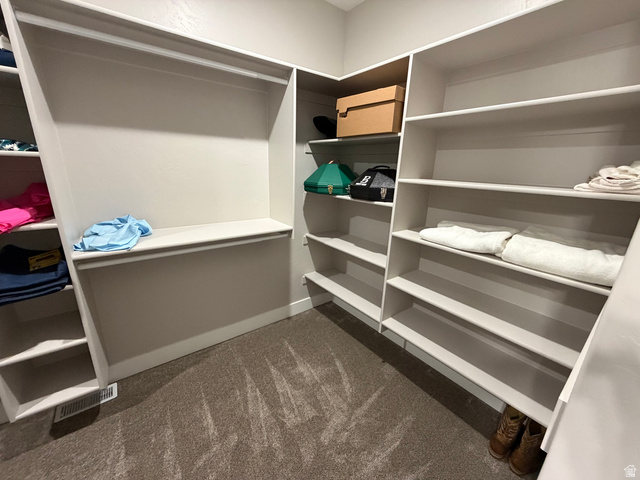 2350 North 1075 West Helper, UT 84526 - Photo 20 of 49 Walk in closet with dark carpet