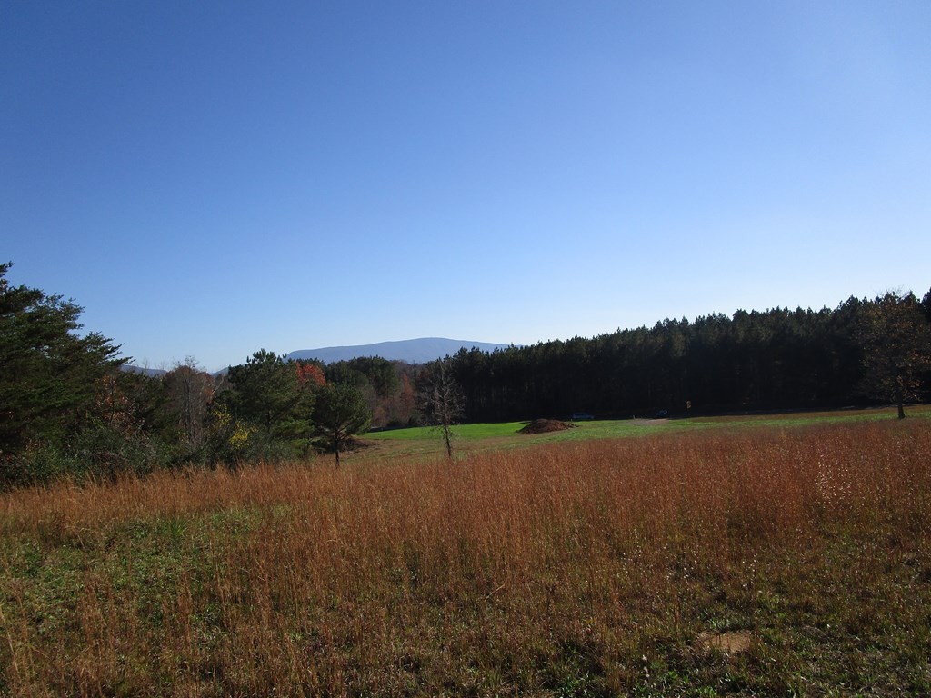 0 Hwy 163 Riceville Tn 37370 Riceville, TN 37370 - Photo 10 of 11