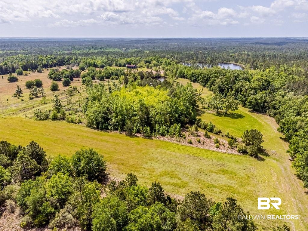 0 Kings Ldg Road Seminole, AL 36574 - Photo 12 of 17