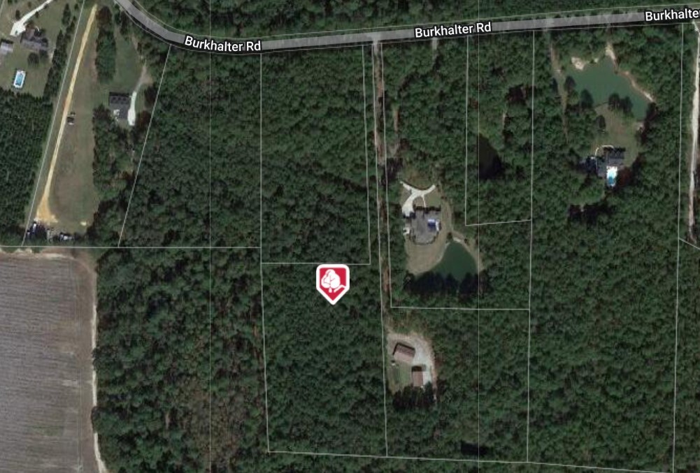 Lot 9 Burkhalter Road Statesboro, GA 30458 - Photo 1 of 1 Gallery Image 1