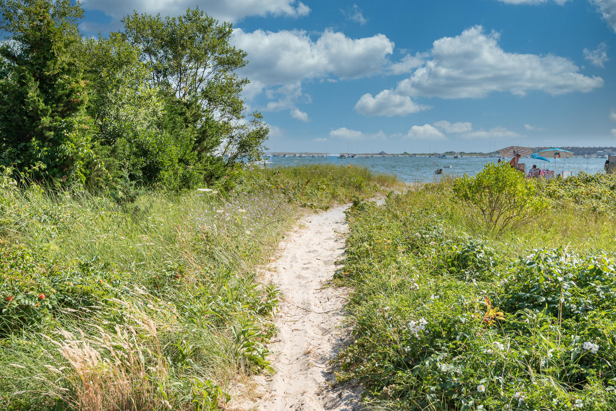 20 Russo Road West Yarmouth, MA 02673 - Photo 39 of 40 Beach