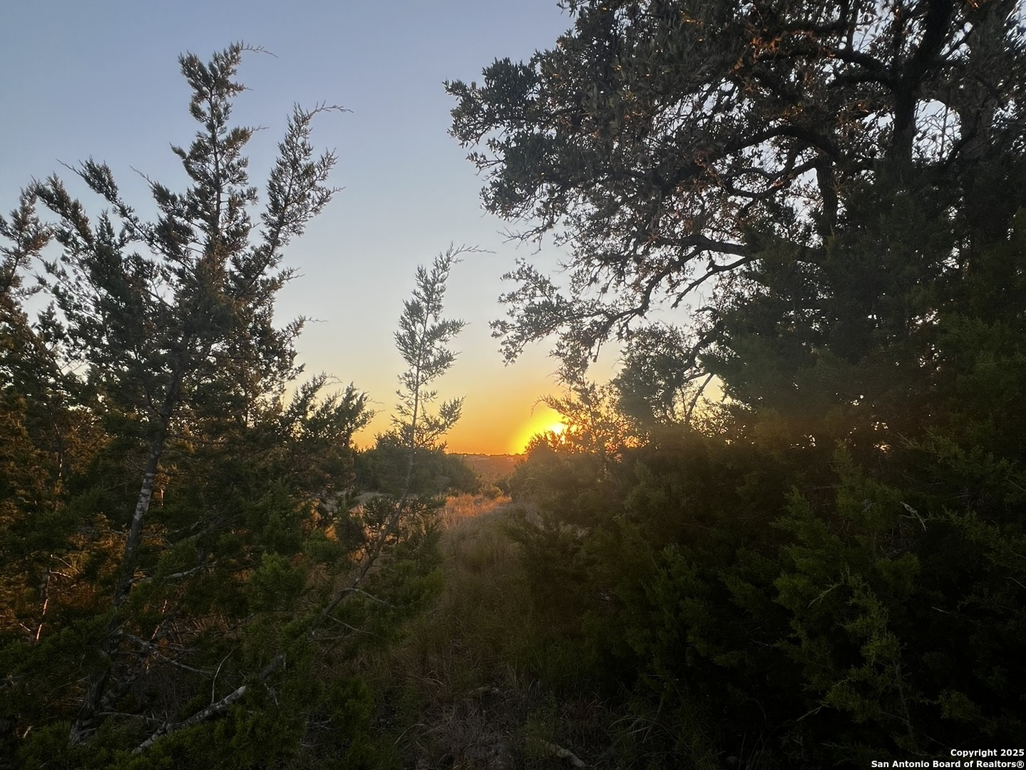 23403 North Cranes Mill Road Spring Branch, TX 78070 - Photo 12 of 13 a view of mountain view with two trees in the background