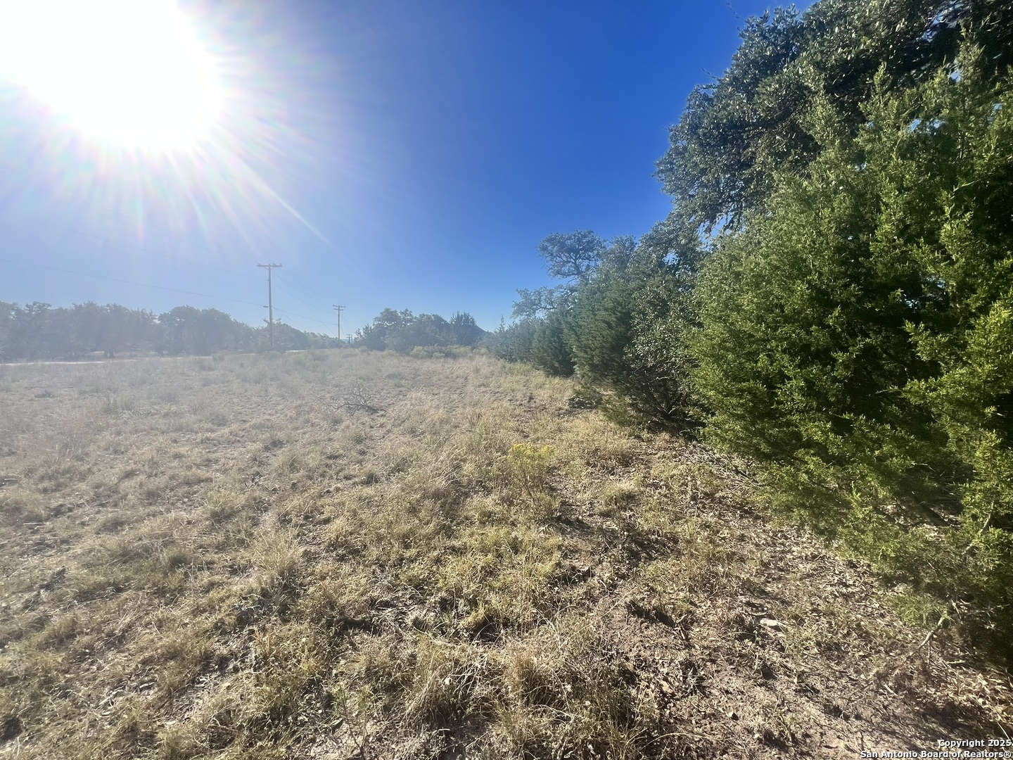 23403 North Cranes Mill Road Spring Branch, TX 78070 - Photo 6 of 13 a view of a dry yard with mountains in the background