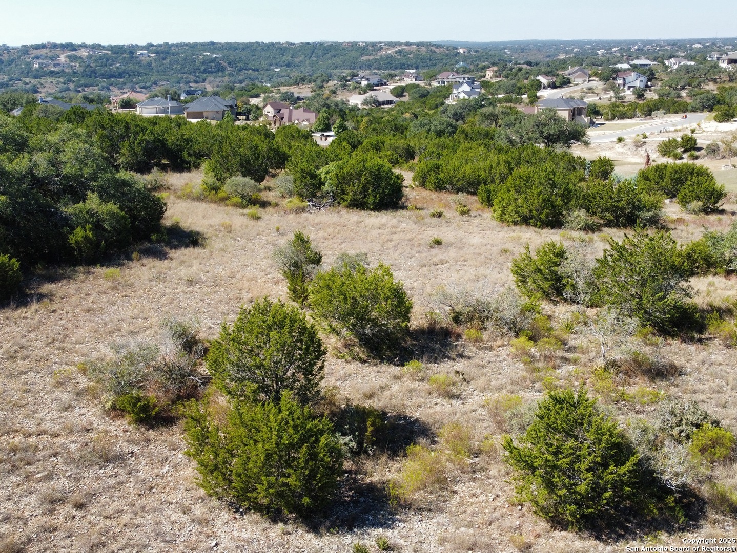 23403 North Cranes Mill Road Spring Branch, TX 78070 - Photo 7 of 13 a view of a dry yard with trees