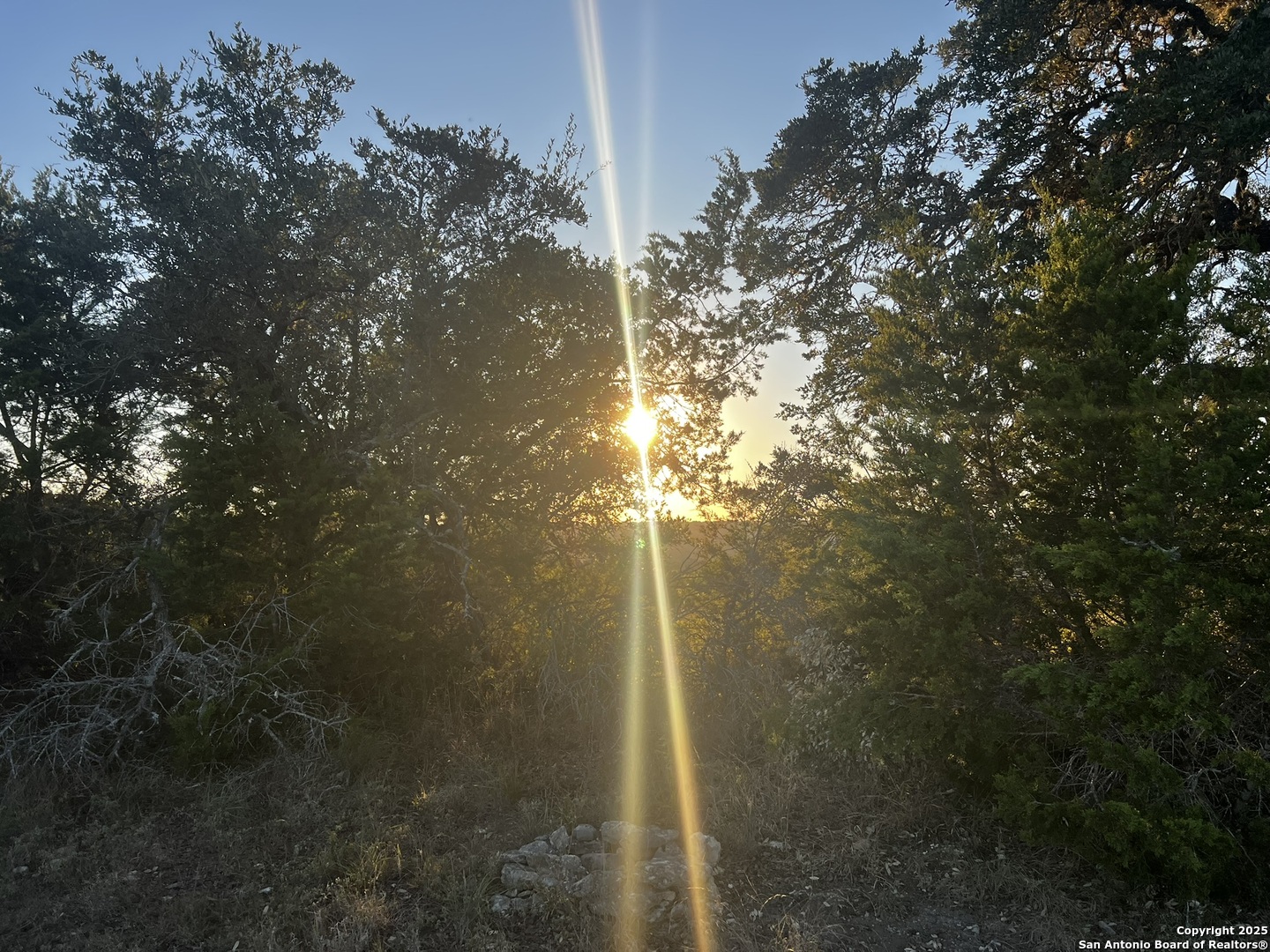 23403 North Cranes Mill Road Spring Branch, TX 78070 - Photo 10 of 13 a backyard of a house