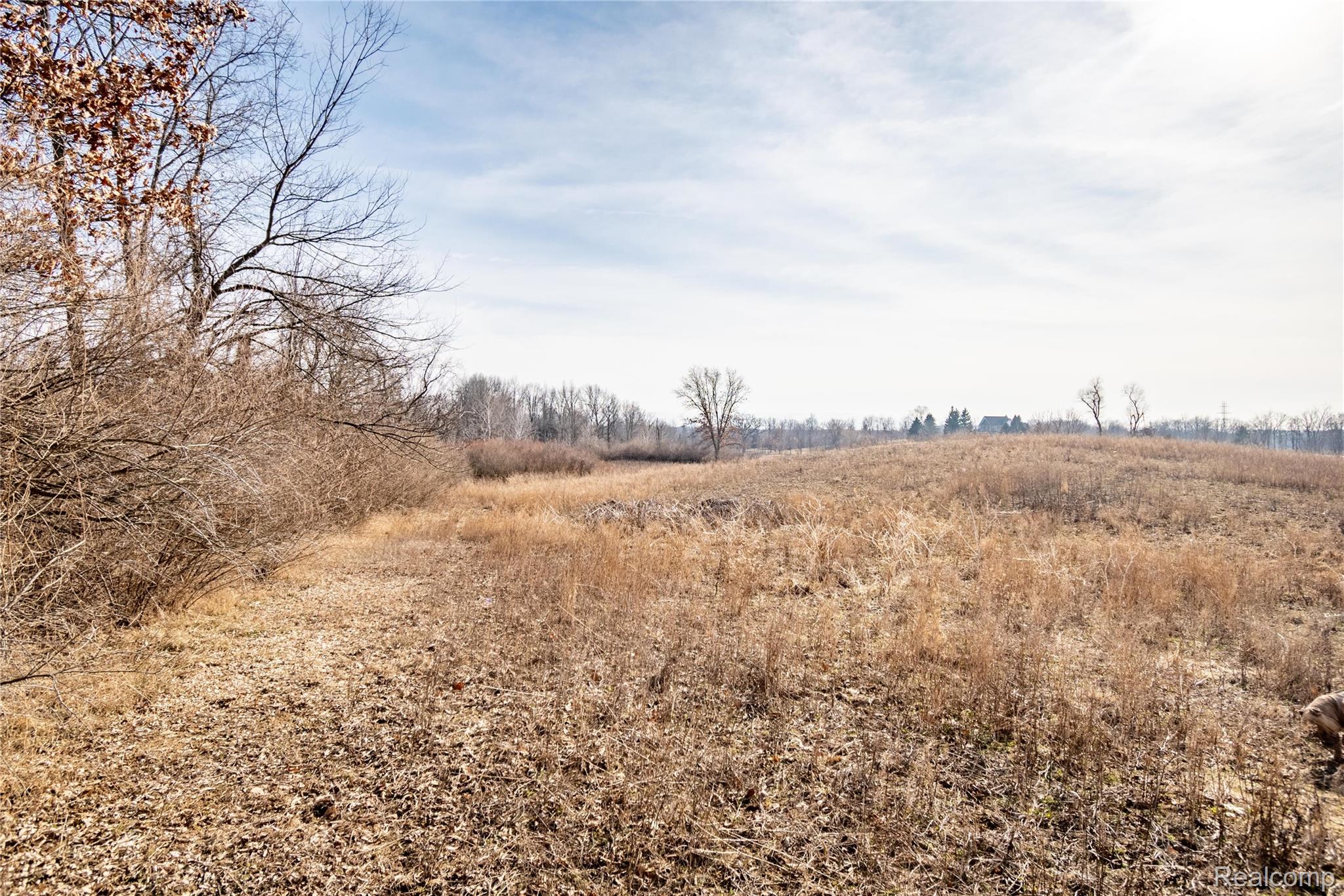 0 Heim Road Chelsea, MI 48118 - Photo 11 of 29 Heim Rd Vacant-10.jpg