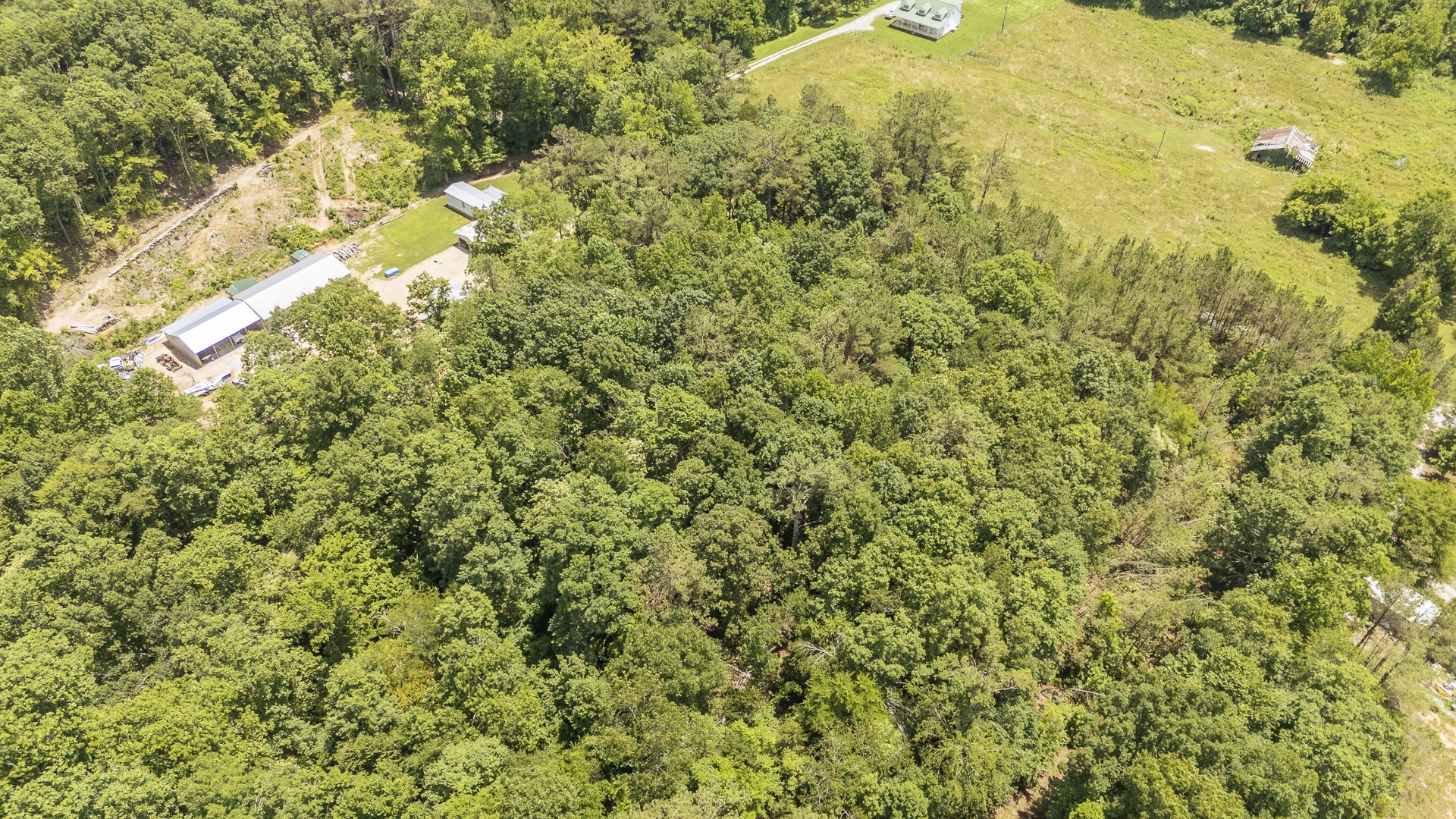 912 Simmons Branch Road Waynesboro, TN 38485 - Photo 11 of 21