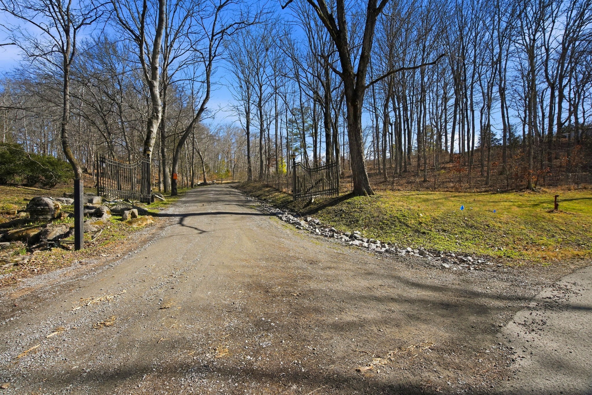 3611 Cooper Nicholson Road Pleasant View, TN 37146 - Photo 6 of 60 a view of a yard with a tree