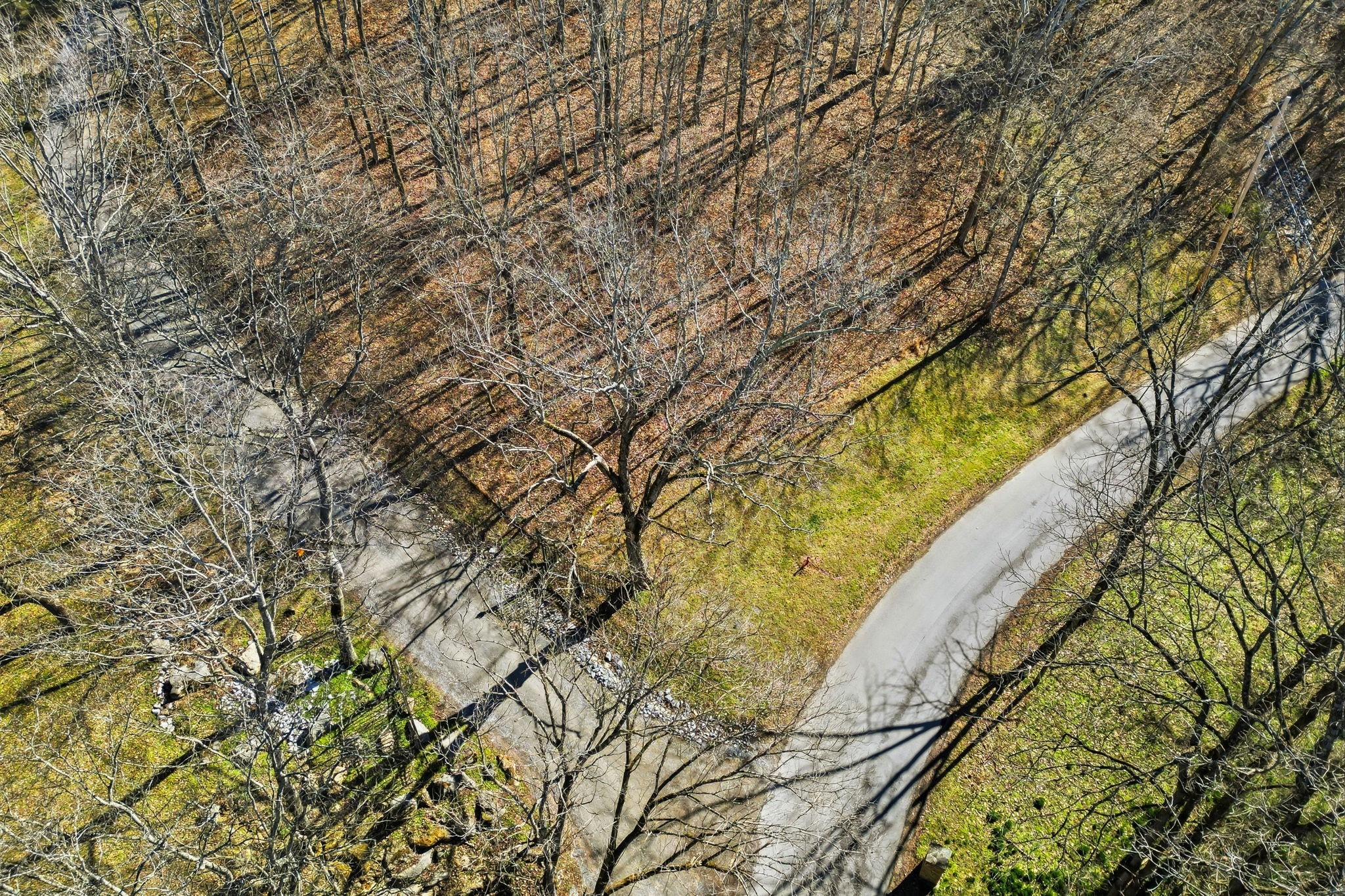 3611 Cooper Nicholson Road Pleasant View, TN 37146 - Photo 8 of 60