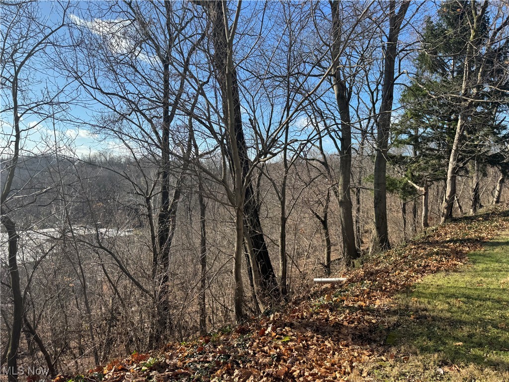 Back yard view wooded ravine