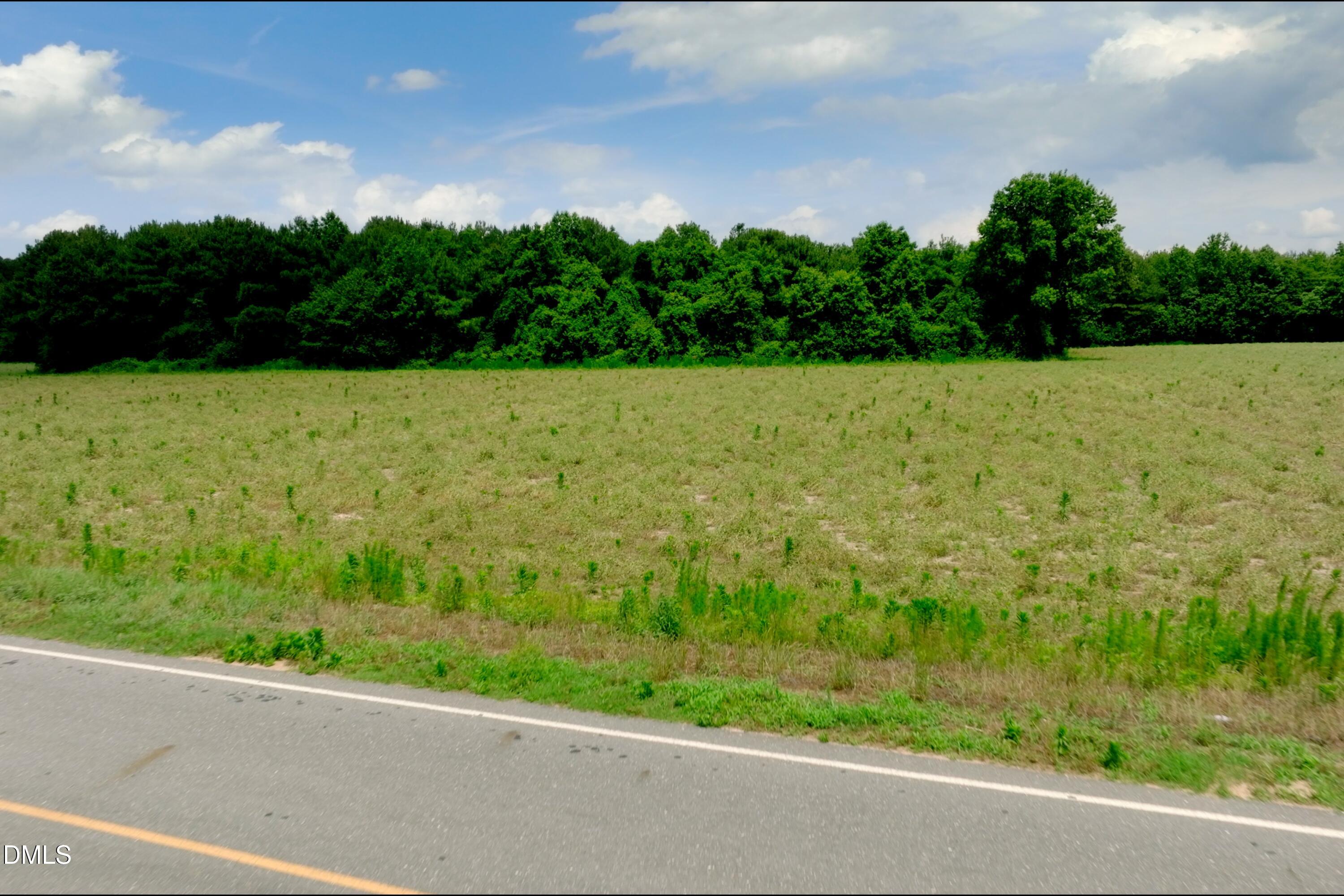 0 Bowden Road Turkey, NC 28393 - Photo 5 of 31