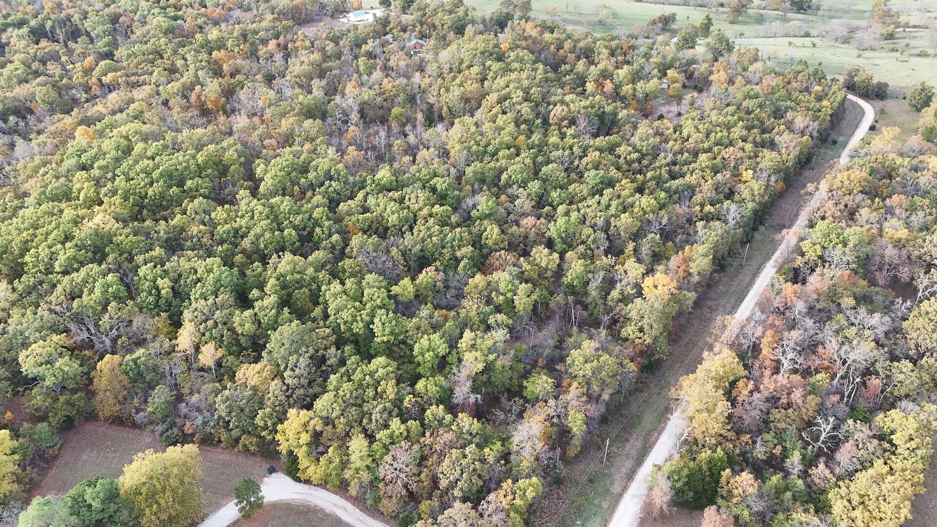 0 Southeast 451 Road Collins, MO 64738 - Photo 3 of 10 DJI_20251031165740_0320_D