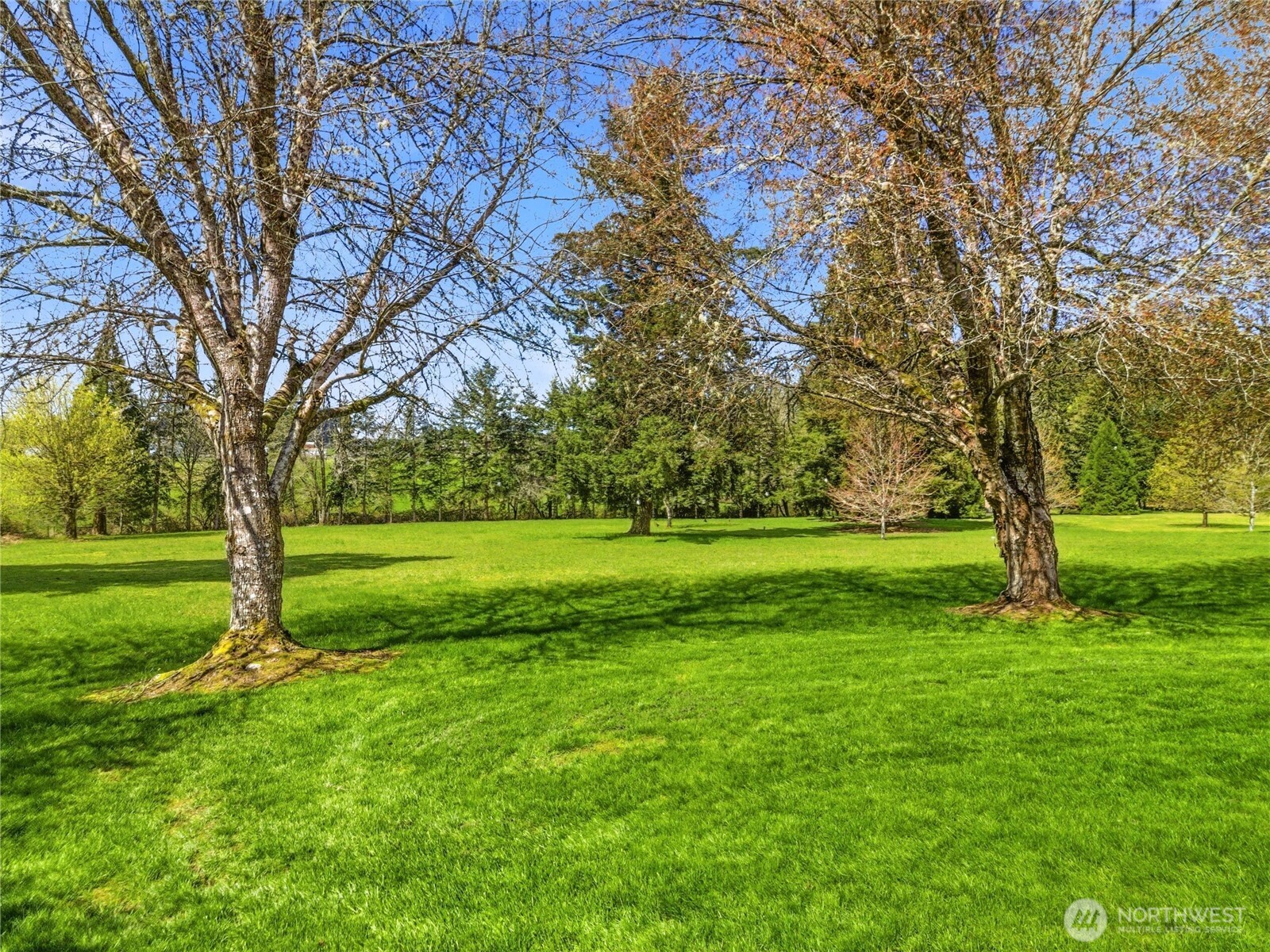 2425 140th Avenue Southwest Tenino, WA 98589 - Photo 33 of 40