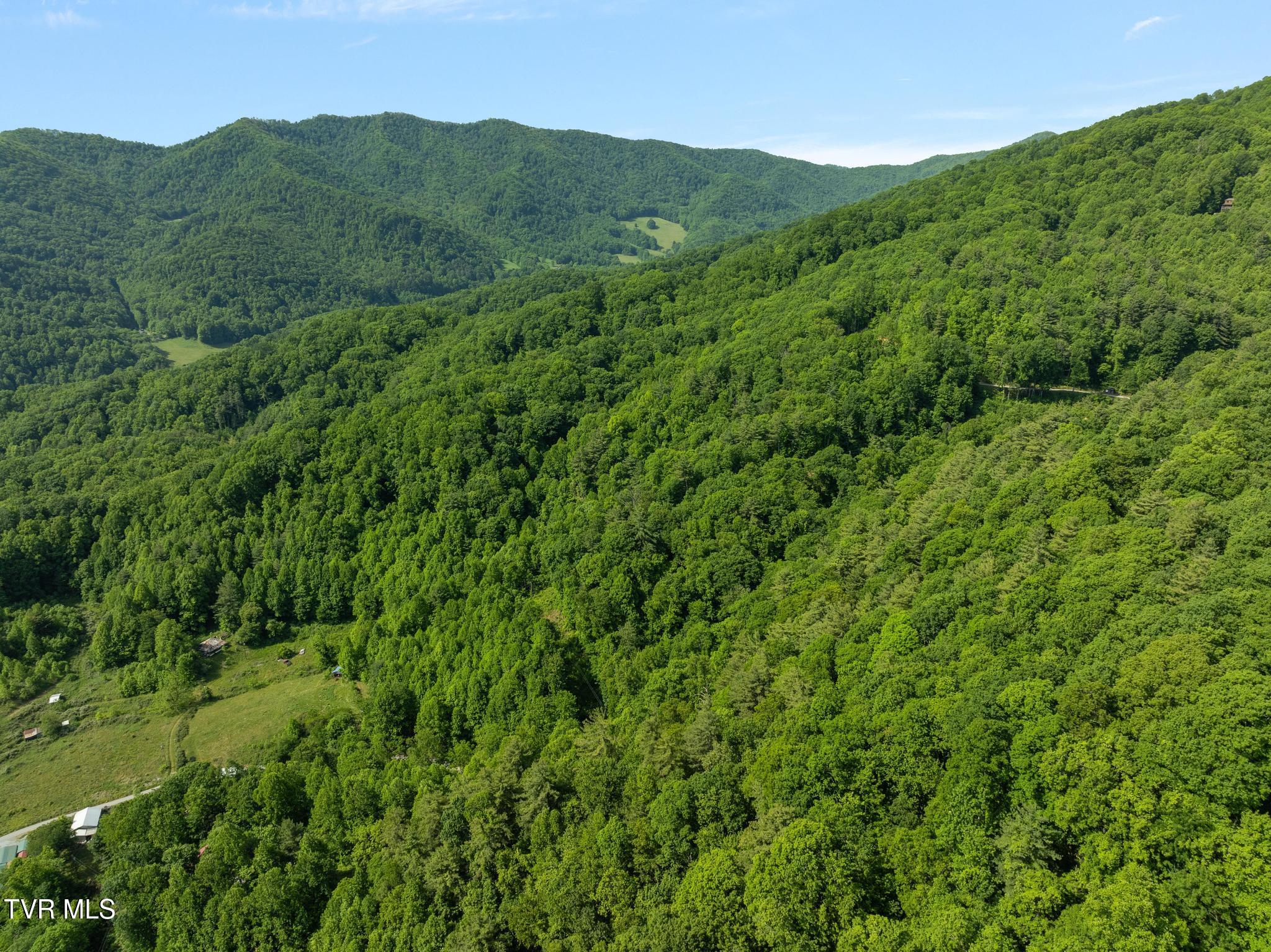 685 Tipton Branch Road Flag Pond, TN 37657 - Photo 12 of 16 Aerial