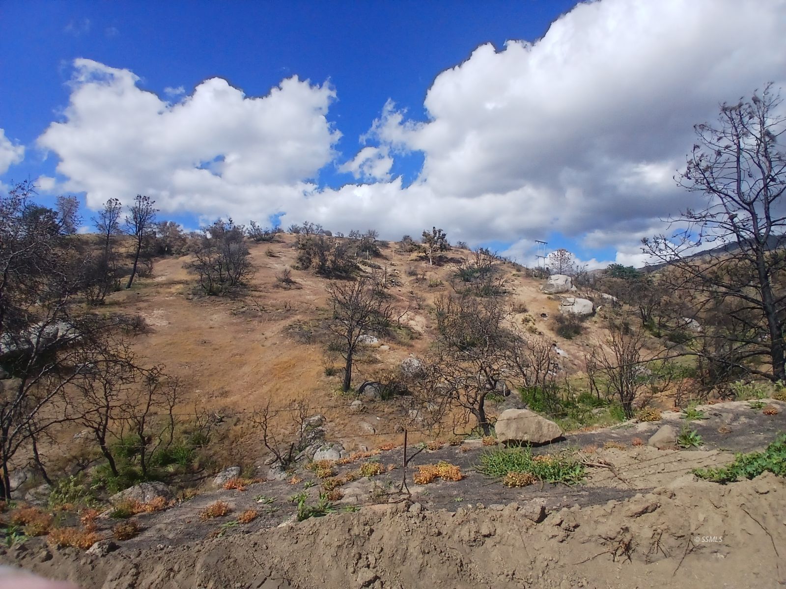 Kendall Road Caliente, CA 93518 - Photo 4 of 11