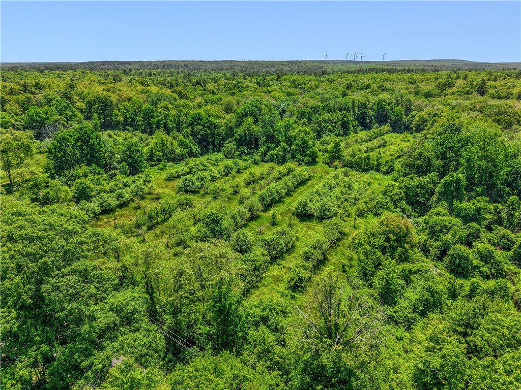 0 Carrs Trail Coventry, RI 02827 - Photo 34 of 50