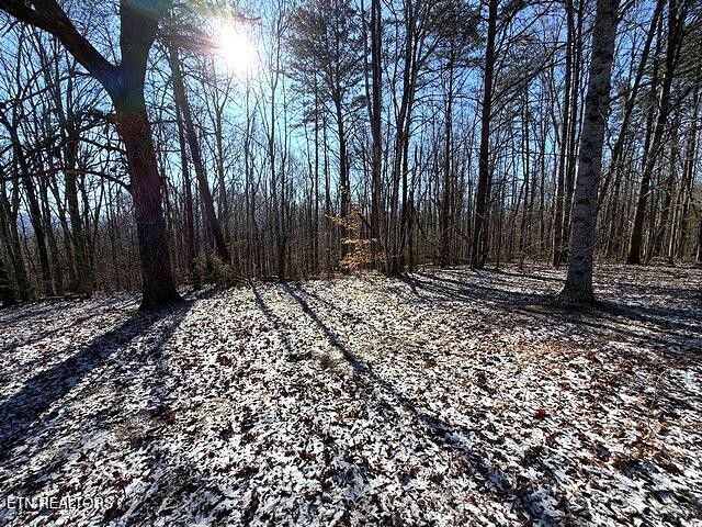 0 Under The Sun Way Cosby, TN 37722 - Photo 3 of 14