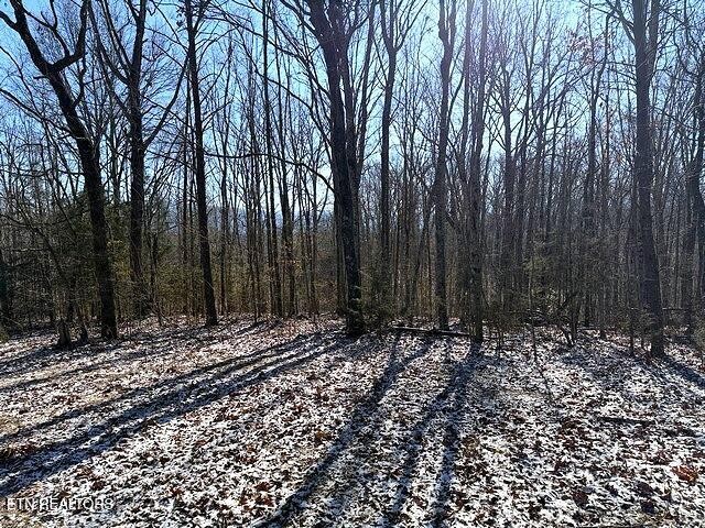 0 Under The Sun Way Cosby, TN 37722 - Photo 6 of 14