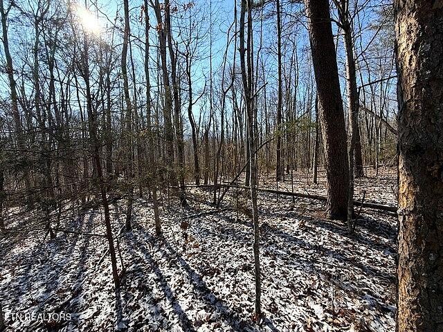 0 Under The Sun Way Cosby, TN 37722 - Photo 10 of 14